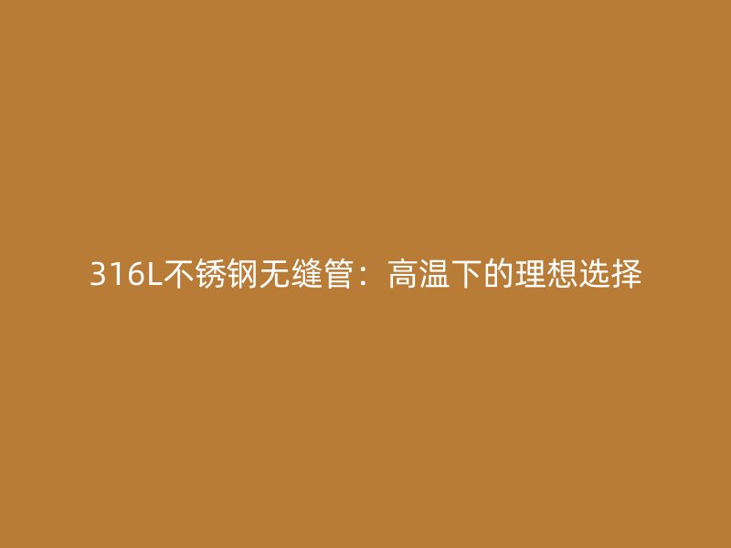 316L不銹鋼無縫管：高溫下的理想選擇